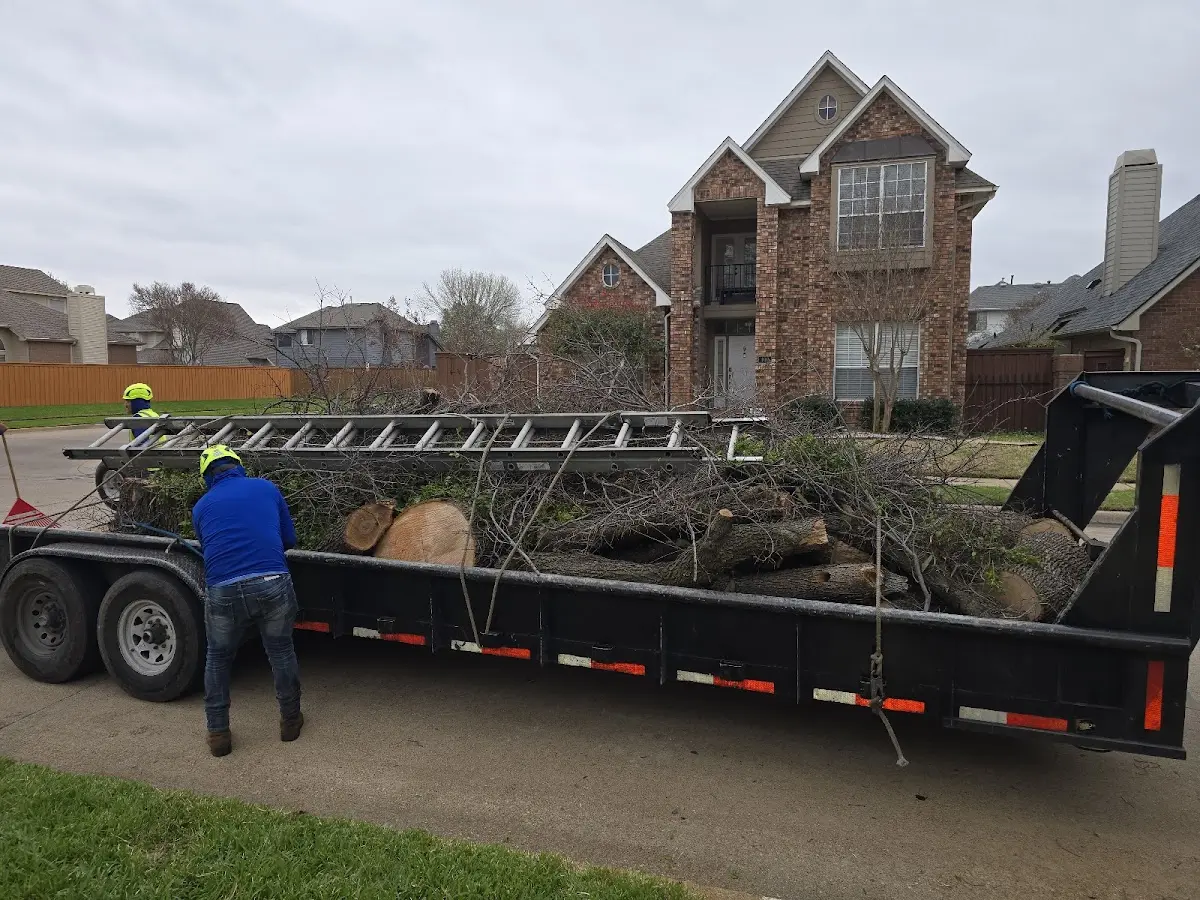 Expert Tree Fertilization with proper safety equipment in Prince George